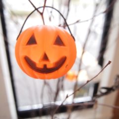 Trick or treat !   ハッピーハロウィン🎃